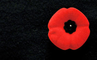 Remembrance Day Parade & Ceremony