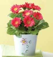 Kid's Mother's Day Workshop